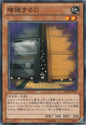〔 N 〕　《増殖するG》
